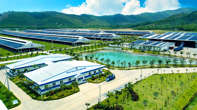 Vinamilk Pathways to Dairy Net Zero 2050 kết hợp nhiều giải pháp đồng bộ từ ứng dụng kinh tế tuần hoàn đến đầu tư các công nghệ tiết kiệm năng lượng, giảm thải. Vinamilk Pathways to Dairy Net Zero 2050 kết hợp nhiều giải pháp đồng bộ từ ứng dụng kinh tế tuần hoàn đến đầu tư các công nghệ tiết kiệm năng lượng, giảm thải.