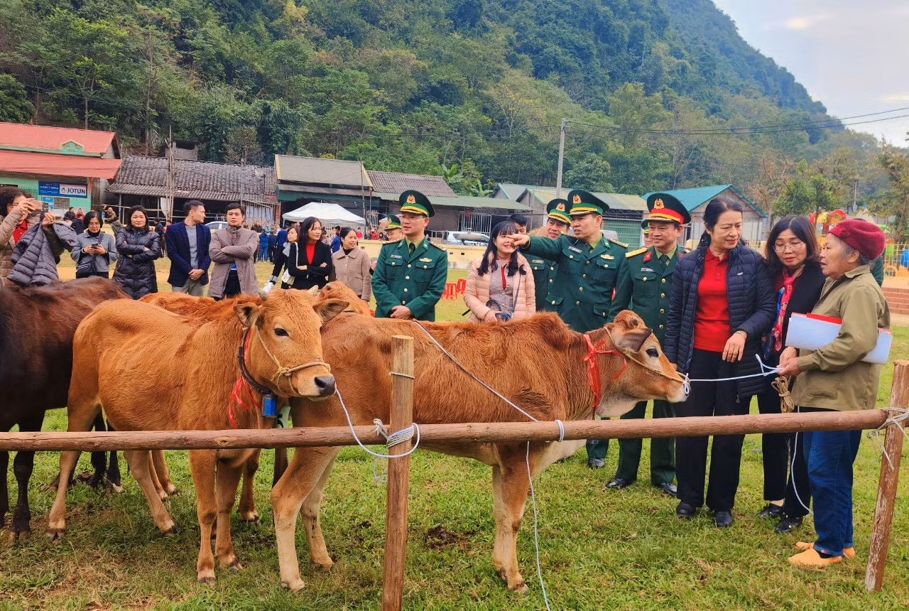 Agribank, báo Quân đội Nhân dân và Bộ đội biên phòng trao tặng bò cho các hộ gia đình tại Cao Bằng