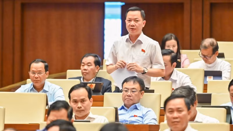 Đại biểu Trịnh Xuân An (Đồng Nai) phát biểu. (Ảnh: BÙI GIANG)