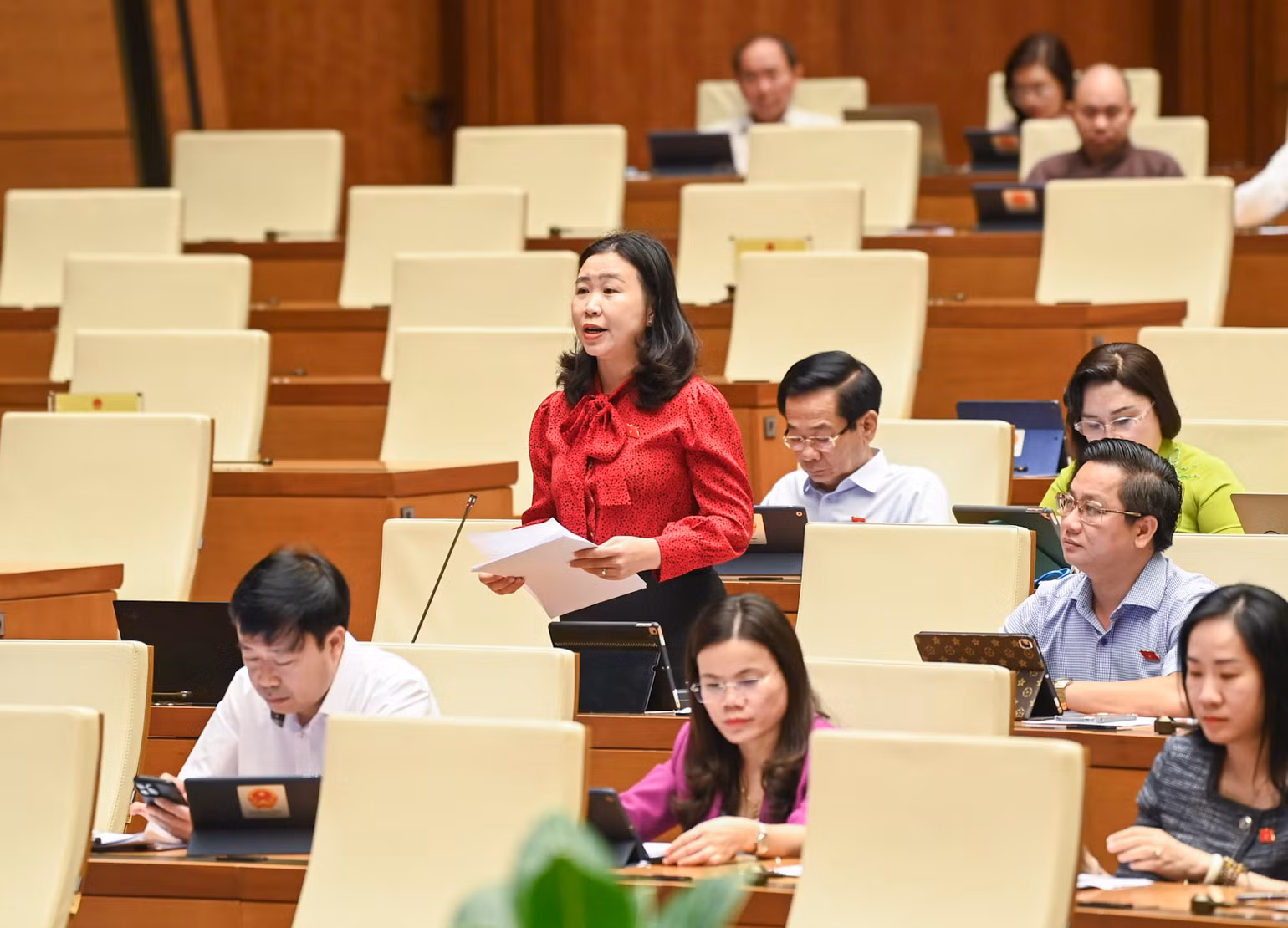 Đại biểu Lê Thị Song An - Phó Trưởng đoàn chuyên trách Đoàn đại biểu Quốc hội tỉnh Long An. (Ảnh: DUY LINH) Đại biểu Lê Thị Song An - Phó Trưởng đoàn chuyên trách Đoàn đại biểu Quốc hội tỉnh Long An. (Ảnh: DUY LINH)