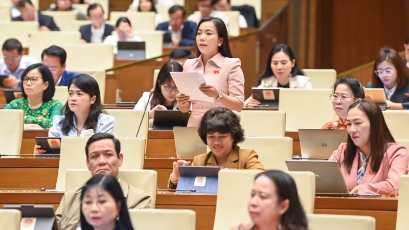 Đại biểu Triệu Thị Ngọc Diễm (Sóc Trăng) phát biểu. (Ảnh: DUY LINH)