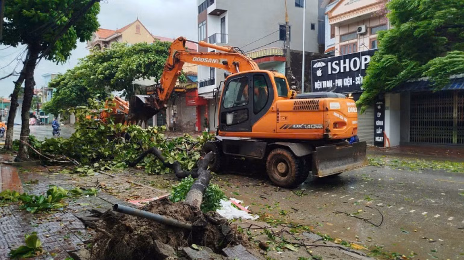 Ảnh: QUANG THỌ