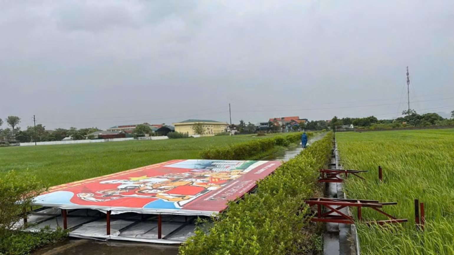 Ảnh: QUANG THỌ