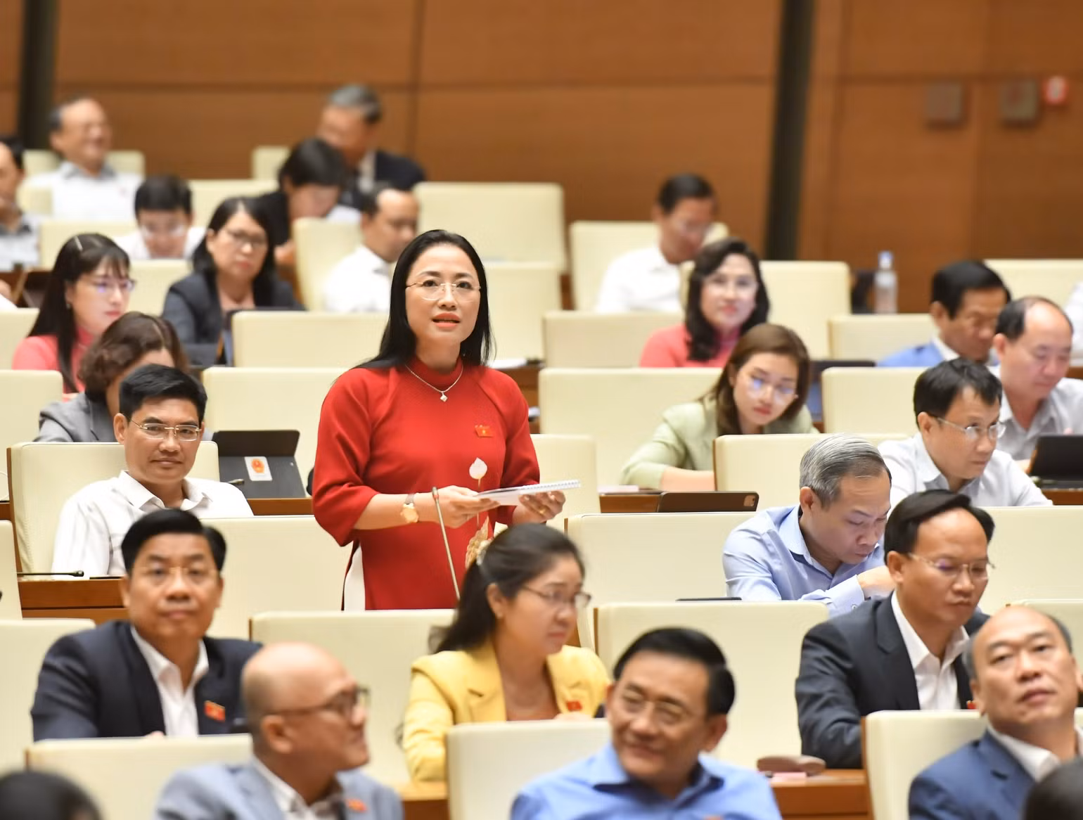 Đại biểu Trần Khánh Thu (Thái Bình) đặt câu hỏi chất vấn tại phiên họp. (Ảnh: ĐĂNG KHOA)