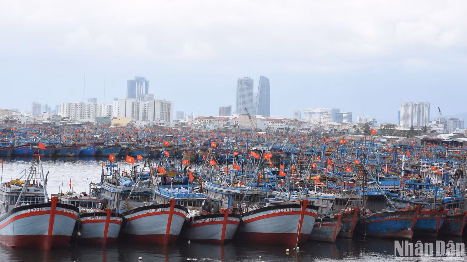 Âu thuyền cảng cá Thọ Quang hiện là nơi neo đậu của hàng ngàn tàu cá của ngư dân miền trung. Âu thuyền cảng cá Thọ Quang hiện là nơi neo đậu của hàng ngàn tàu cá của ngư dân miền trung.