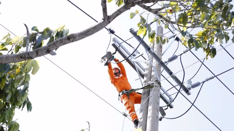 Hệ thống điện được kiểm tra, cắt cành cây để vận hành lưới điện an toàn.