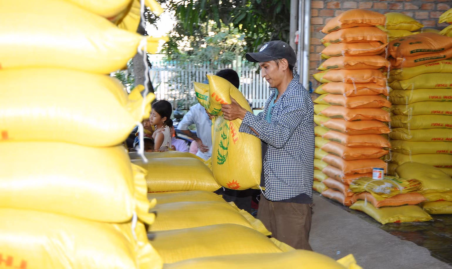 Diễn biến thị trường gạo trên thế giới đang tạo ra nhiều cơ hội cho xuất khẩu gạo của Việt Nam. Ảnh: BắC SƠN Diễn biến thị trường gạo trên thế giới đang tạo ra nhiều cơ hội cho xuất khẩu gạo của Việt Nam. Ảnh: BắC SƠN