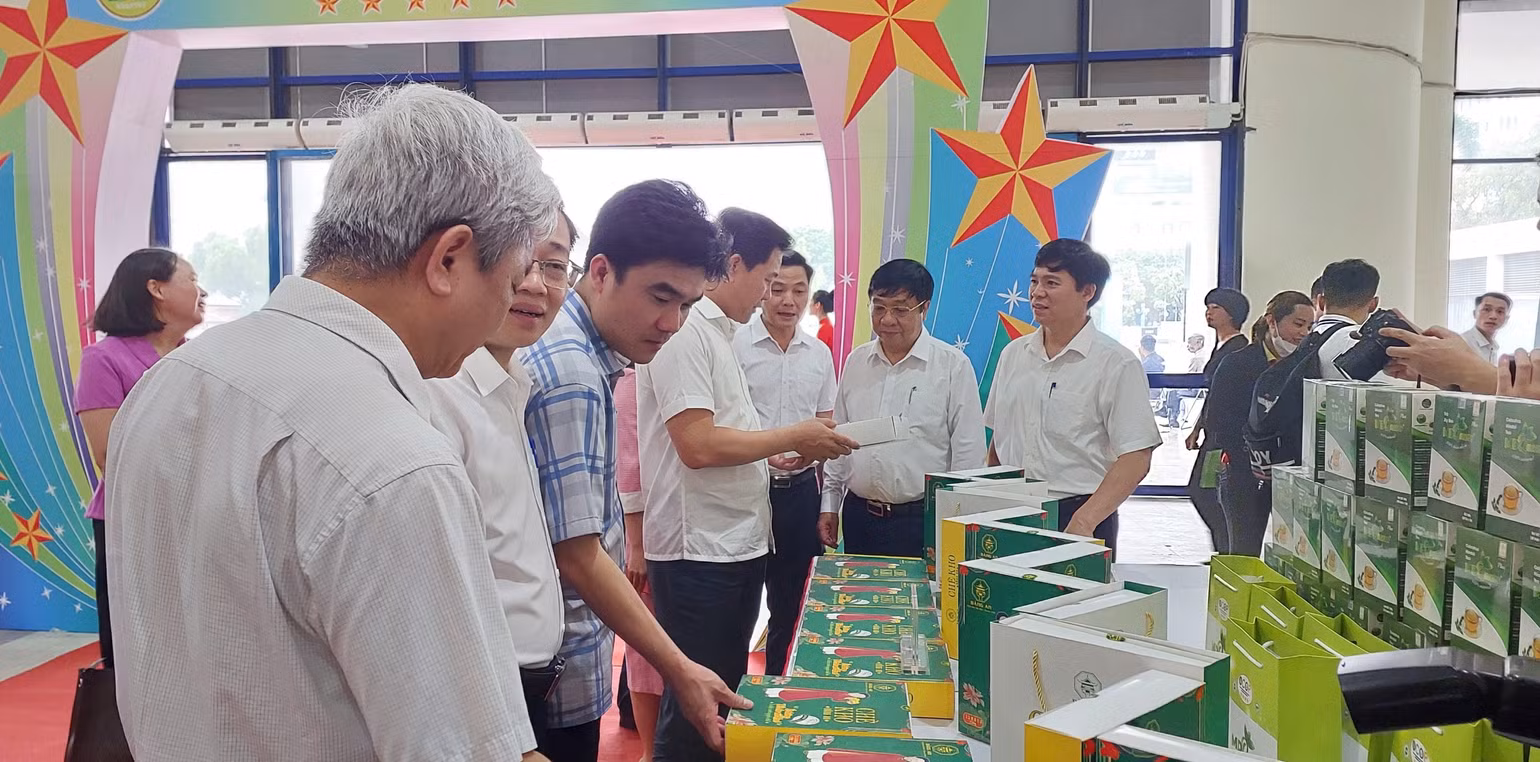 Các đại biểu thăm quan gian hàng trưng bày sản phẩm OCOP
