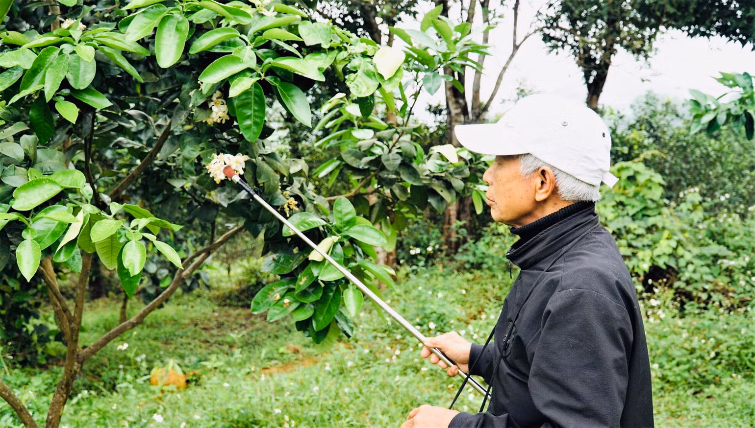 Công việc được tiến hành một cách tỉ mỉ. Công việc được tiến hành một cách tỉ mỉ.