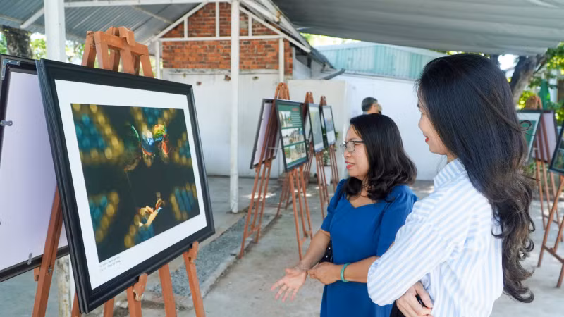 Triển lãm có 76 tác phẩm gồm các thể loại của tác giả là hội viên Hội Văn học-Nghệ thuật tỉnh Quảng Nam.