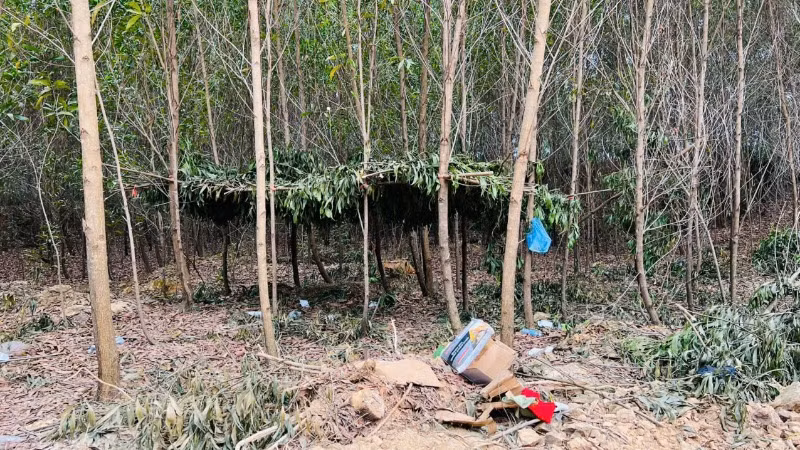 Các đối tượng dựng lều, trại để phục vụ việc khai thác đất, đá trái phép.
