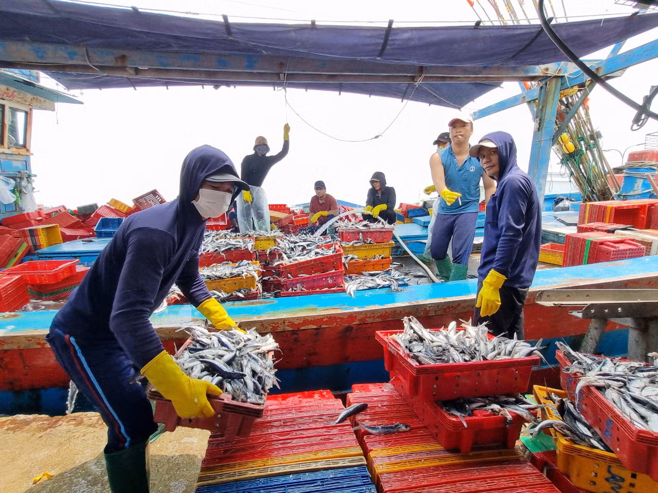 Các ngư dân luôn muốn gắn bó với biển đảo quê hương. (Trong ảnh: Ngư dân Đà Nẵng sau một chuyến đánh bắt xa bờ) Các ngư dân luôn muốn gắn bó với biển đảo quê hương. (Trong ảnh: Ngư dân Đà Nẵng sau một chuyến đánh bắt xa bờ)