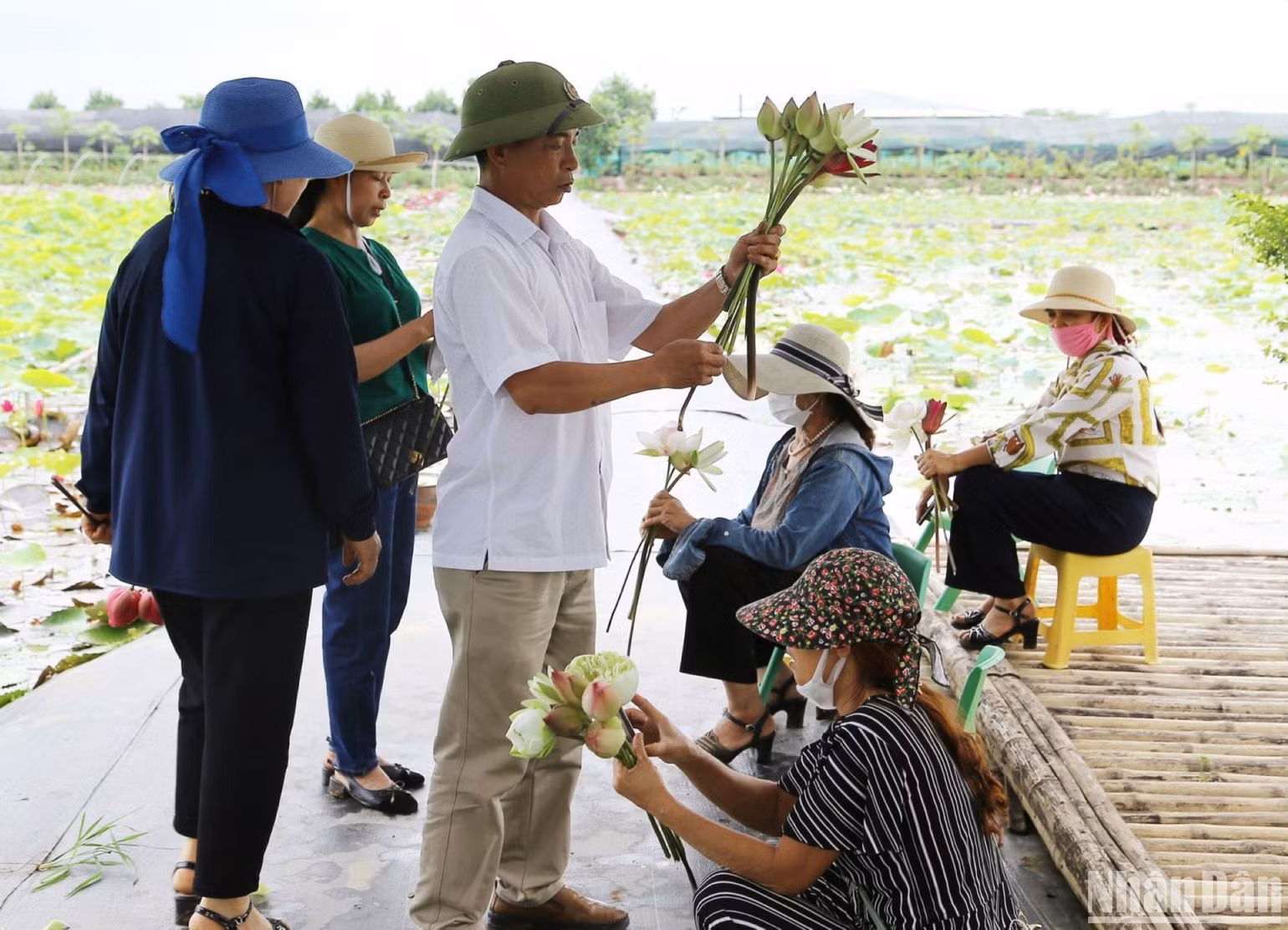 Ngoài tận hưởng khung cảnh lãng mạn trên đầm sen Vân Đài, du khách còn được trải nghiệm cách hái và bó hoa sen. Ngoài tận hưởng khung cảnh lãng mạn trên đầm sen Vân Đài, du khách còn được trải nghiệm cách hái và bó hoa sen.
