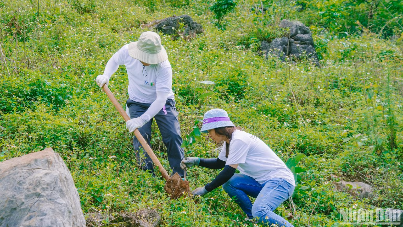 Các tình nguyện viên leo dốc trên nóc Vân Hồ để trồng cây.