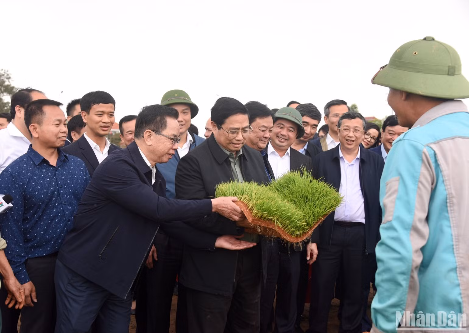 Tích cực ứng dụng chuyển đổi số để phát triển nông nghiệp xanh, hiện đại, gia tăng giá trị nông sản ảnh 3 Tích cực ứng dụng chuyển đổi số để phát triển nông nghiệp xanh, hiện đại, gia tăng giá trị nông sản ảnh 3