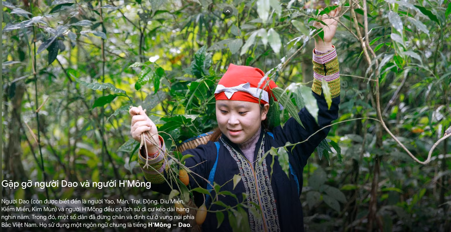 Nhiều cộng đồng dân tộc của Việt Nam được giới thiệu trên Vibrant Vietnam.
