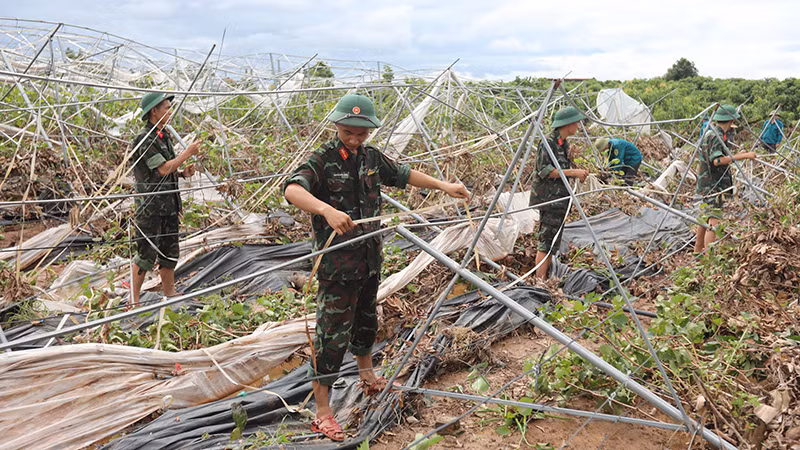 Lực lượng quân đội giúp người dân ở Bắc Giang khắc phục hậu quả sau bão số 3. Lực lượng quân đội giúp người dân ở Bắc Giang khắc phục hậu quả sau bão số 3.