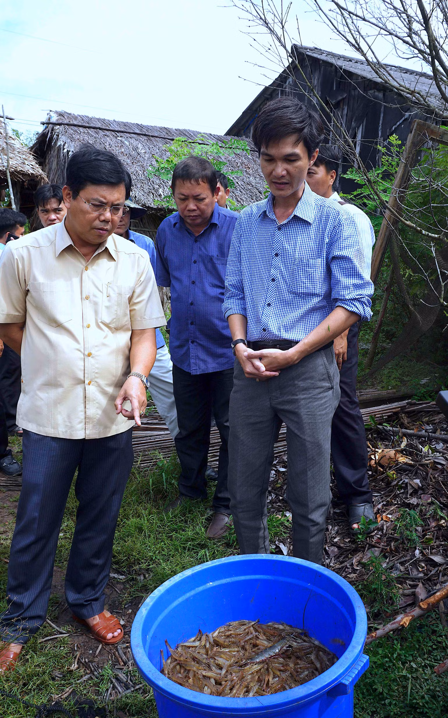 Lãnh đạo tỉnh Cà Mau kiểm tra mô hình nuôi tôm sinh thái dưới tán rừng ngập mặn huyện Ngọc Hiển, tỉnh Cà Mau. Lãnh đạo tỉnh Cà Mau kiểm tra mô hình nuôi tôm sinh thái dưới tán rừng ngập mặn huyện Ngọc Hiển, tỉnh Cà Mau.
