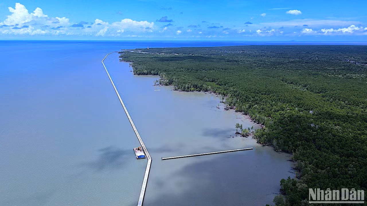 Cà Mau hoàn thành hàng chục km kè ven biển nhờ nguồn vốn hỗ trợ của Trung ương.