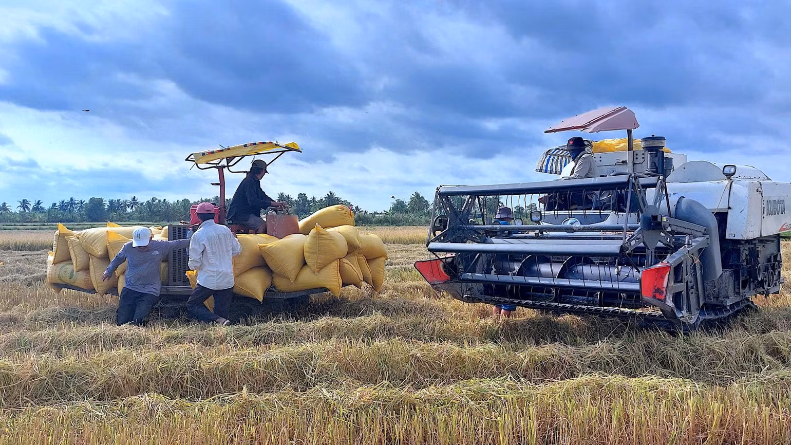 Vùng nông thôn huyện Trần Văn Thời đẩy mạnh cơ giới hóa trong nông nghiệp. Vùng nông thôn huyện Trần Văn Thời đẩy mạnh cơ giới hóa trong nông nghiệp.