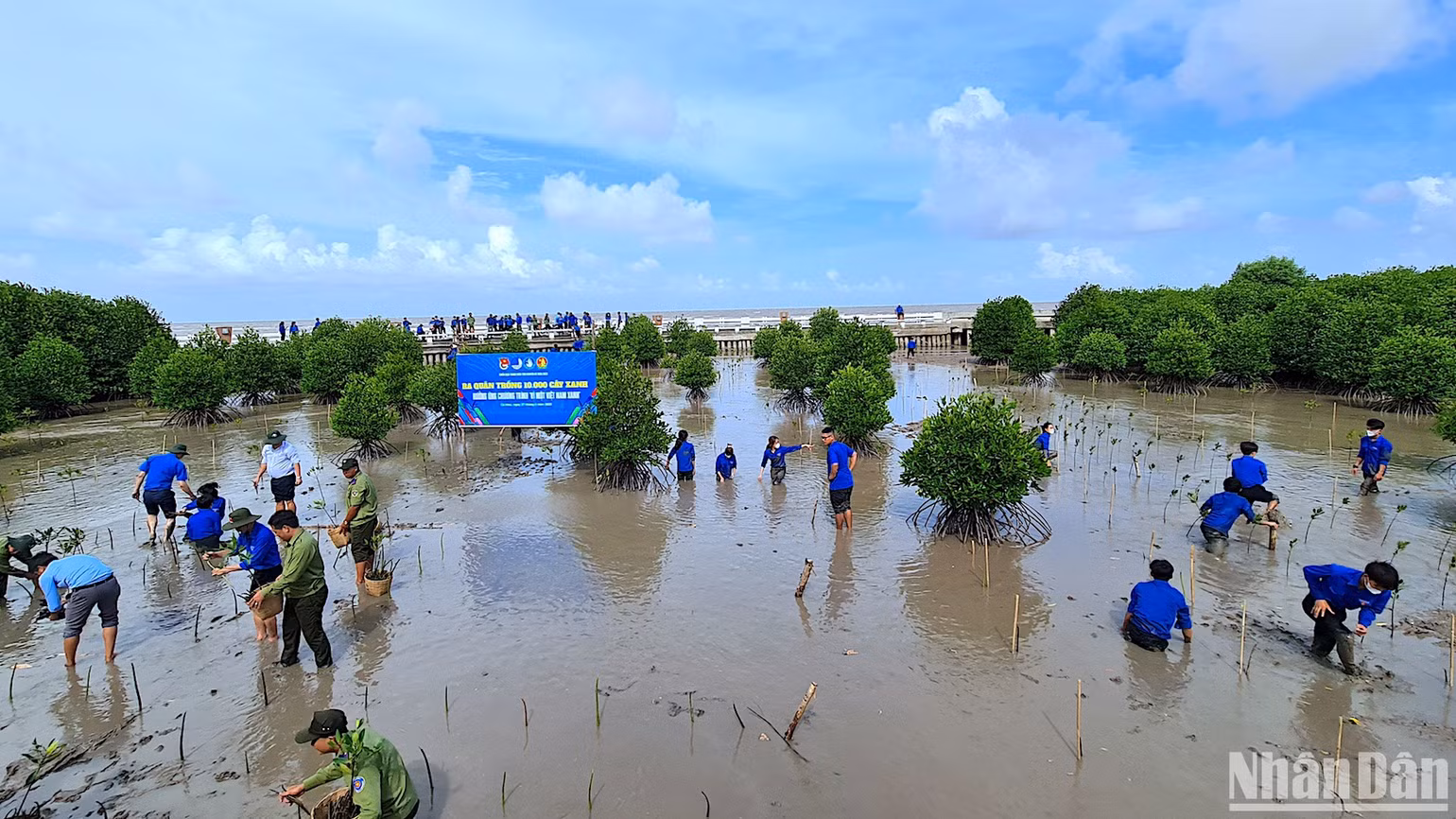 Đông đảo đoàn viên, Thanh niên tham gia trồng cây gây rừng “Vì một Việt Nam xanh” sau lễ ra quân. Đông đảo đoàn viên, Thanh niên tham gia trồng cây gây rừng “Vì một Việt Nam xanh” sau lễ ra quân.