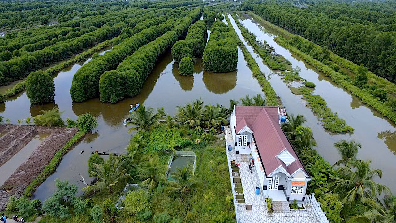 Cà Mau chiếm khoảng 40% diện tích nuôi tôm của cả nước, nhưng thị phần xuất khẩu tôm vào thị trường Mỹ chỉ khoảng 6%, trong khi cả nước khoảng 19%. Cà Mau chiếm khoảng 40% diện tích nuôi tôm của cả nước, nhưng thị phần xuất khẩu tôm vào thị trường Mỹ chỉ khoảng 6%, trong khi cả nước khoảng 19%.