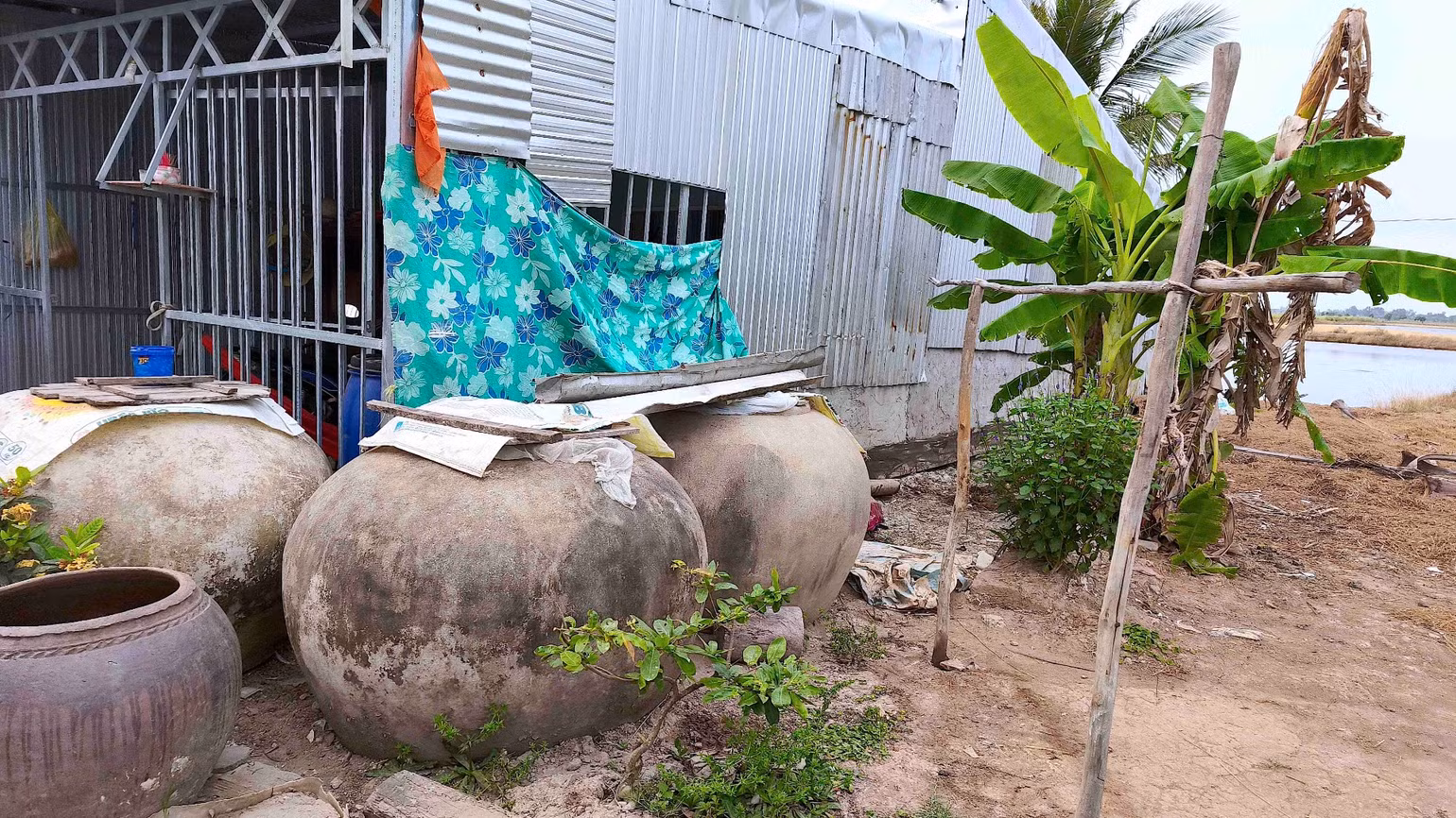 Không khoan được giếng nước ngầm vì bị nhiễm phèn, người dân ấp Thanh Tùng (xã Biển Bạch) dùng lu, khạp trữ nước mưa nhưng không đủ dùng trong những tháng mùa khô.