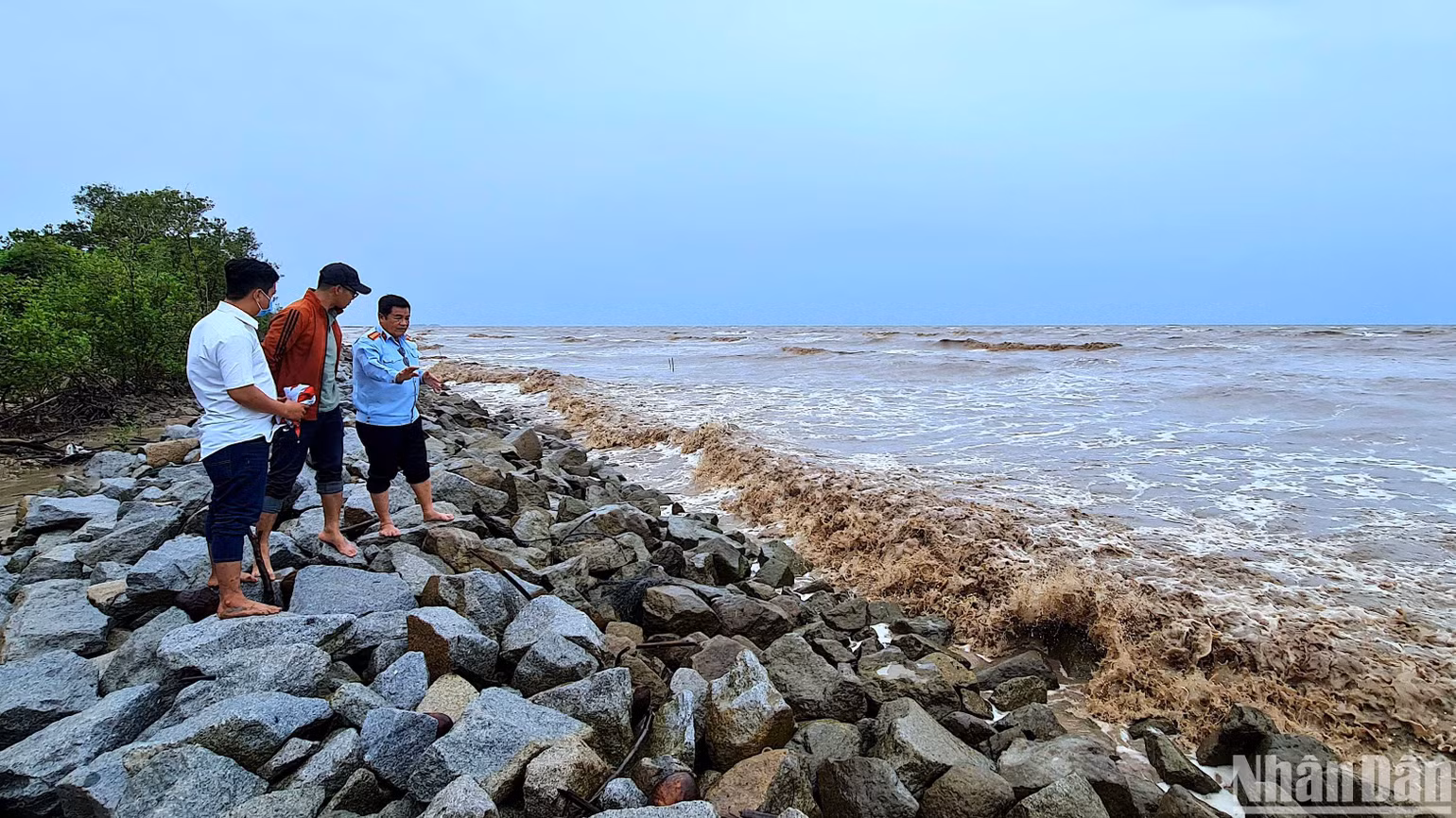 Kè đá khan, một trong nhiều giải pháp hộ đê khẩn cấp ven tuyến biển Tây sẽ được triển khai thực hiện trong mùa mưa bão 2024. Kè đá khan, một trong nhiều giải pháp hộ đê khẩn cấp ven tuyến biển Tây sẽ được triển khai thực hiện trong mùa mưa bão 2024.