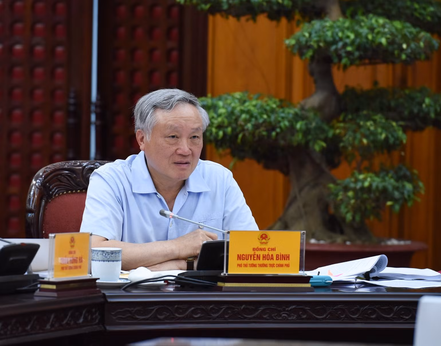 Phó Thủ tướng Thường trực Chính phủ Nguyễn Hòa Bình phát biểu ý kiến tại cuộc họp. (Ảnh: TRẦN HẢI) Phó Thủ tướng Thường trực Chính phủ Nguyễn Hòa Bình phát biểu ý kiến tại cuộc họp. (Ảnh: TRẦN HẢI)
