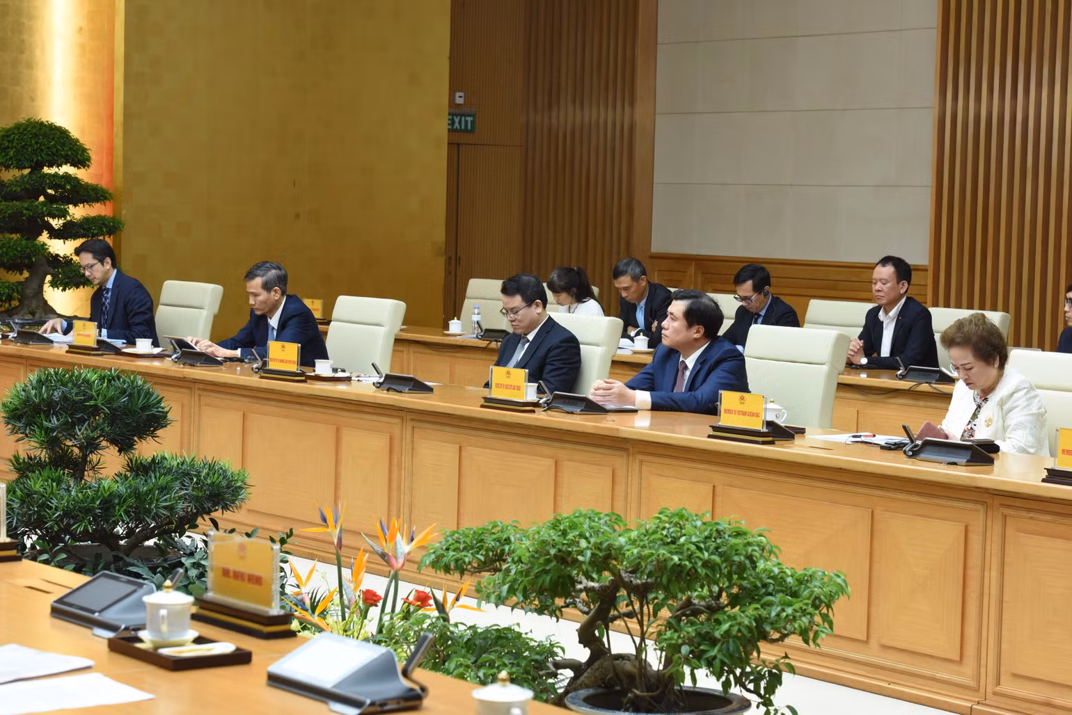 Đại diện lãnh đạo các bộ, ngành, hiệp hội, doanh nghiệp Việt Nam tại buổi tiếp.