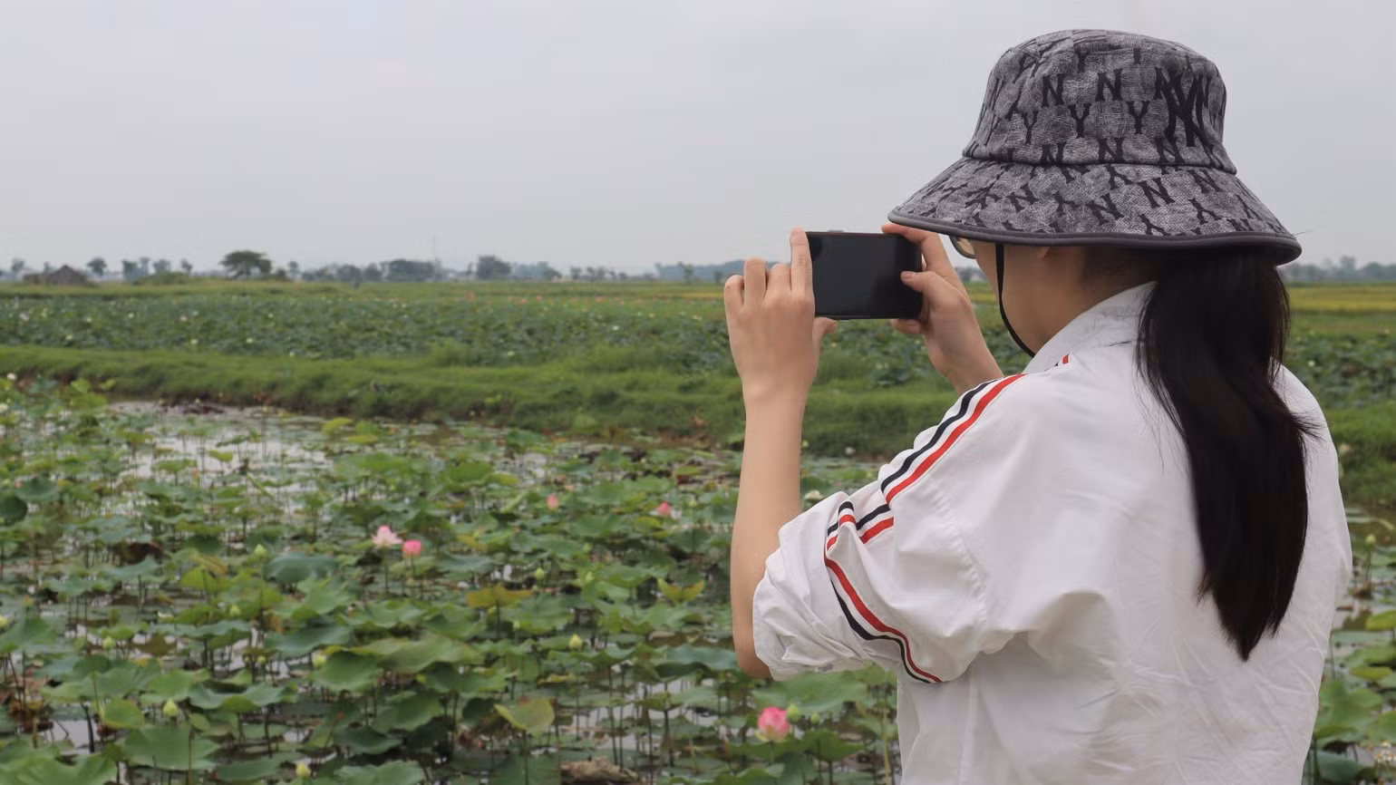 Hoa sen không chỉ làm đẹp cảnh quan, góp phần nâng cao thu nhập cho người dân địa phương, mà còn níu chân bao du khách khi về thăm quê Bác. Hoa sen không chỉ làm đẹp cảnh quan, góp phần nâng cao thu nhập cho người dân địa phương, mà còn níu chân bao du khách khi về thăm quê Bác.