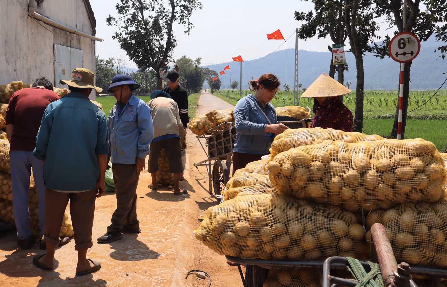 Thu nhập bình quân đầu người của huyện Diễn Châu năm 2010 đạt 15,5 triệu đồng/năm; năm 2022 đạt 60 triệu đồng; năm 2023 đạt 65 triệu đồng/năm.