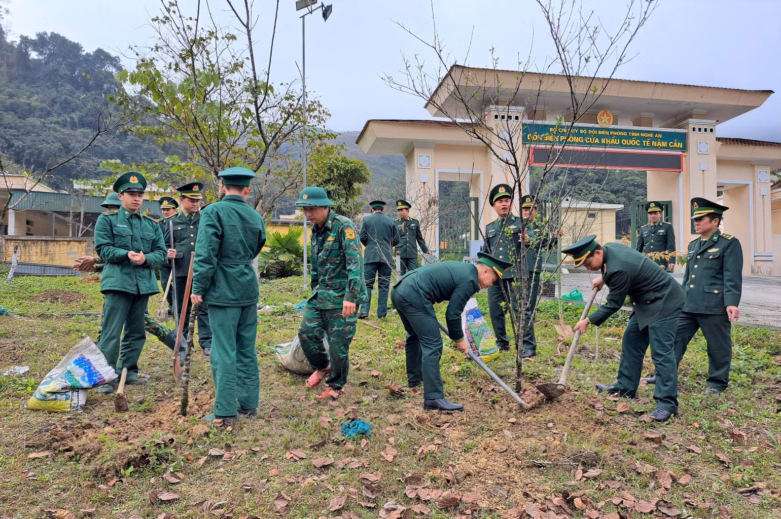 Phong trào trồng cây, trồng và bảo vệ rừng góp phần nâng cao độ che phủ, phát huy tác dụng phòng hộ, cải thiện môi trường sinh thái… Phong trào trồng cây, trồng và bảo vệ rừng góp phần nâng cao độ che phủ, phát huy tác dụng phòng hộ, cải thiện môi trường sinh thái…