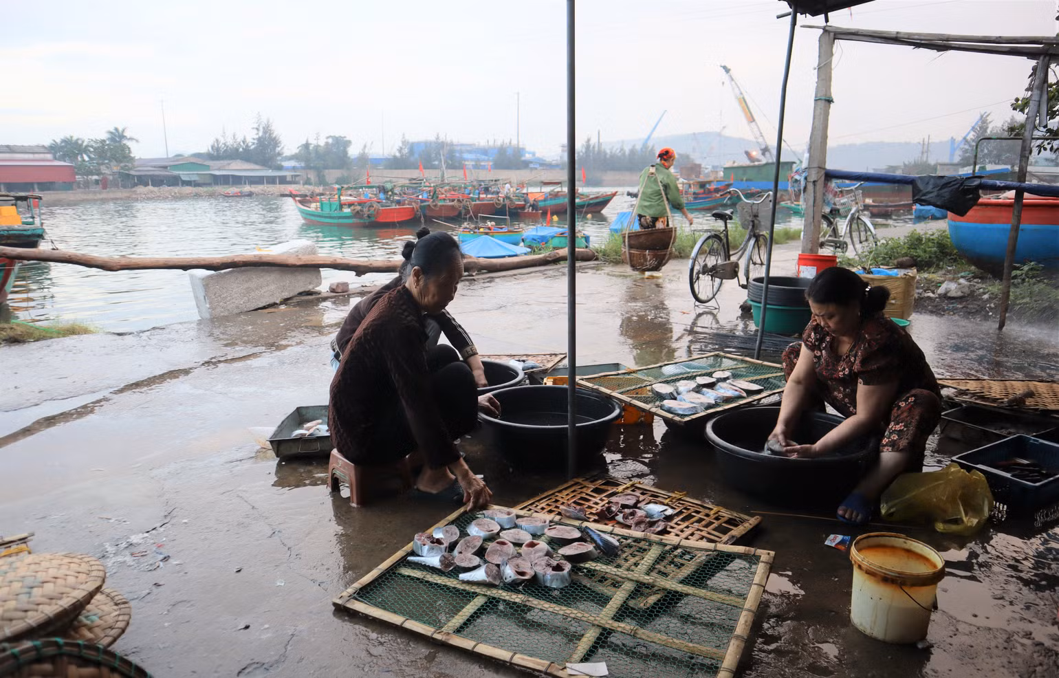 Cá dùng để nướng được các chủ lò mua ở chợ bến cá ngay bên cạnh. Tàu của ngư dân cặp bến khi trời còn chưa sáng. Cá dùng để nướng được các chủ lò mua ở chợ bến cá ngay bên cạnh. Tàu của ngư dân cặp bến khi trời còn chưa sáng.