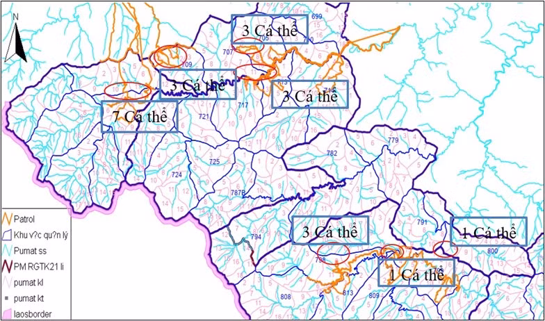 Bản đồ thể hiện vị trí lợn rừng chết. (Nguồn: Ban quản lý Vườn quốc gia Pù Mát) Bản đồ thể hiện vị trí lợn rừng chết. (Nguồn: Ban quản lý Vườn quốc gia Pù Mát)