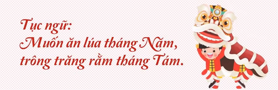 Trung thu và di sản tinh thần -0