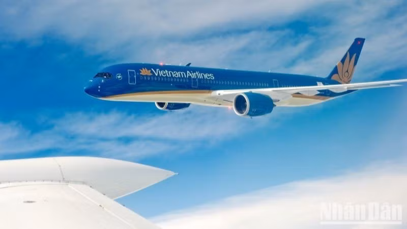 Vietnam Airlines đã chứng minh được sự nhất quán và chất lượng vượt trội trong từng chi tiết, mang đến sự hài lòng cho khách hàng trên toàn bộ mạng lưới đường bay của hãng.
