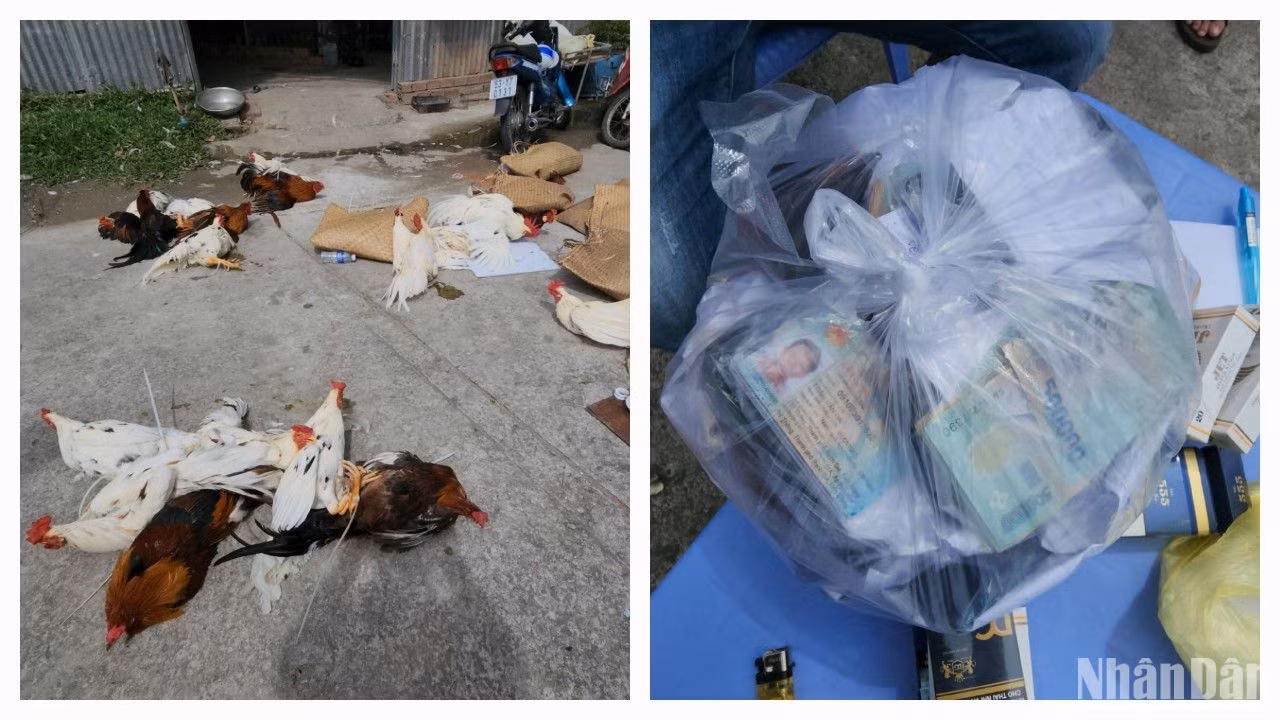 Tang vật vụ đánh bạc. Tang vật vụ đánh bạc.
