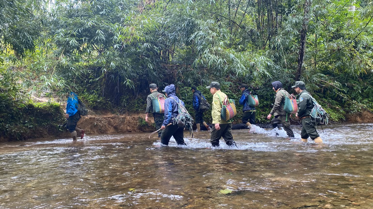 Vận chuyển tê tê vào rừng để tái thả.