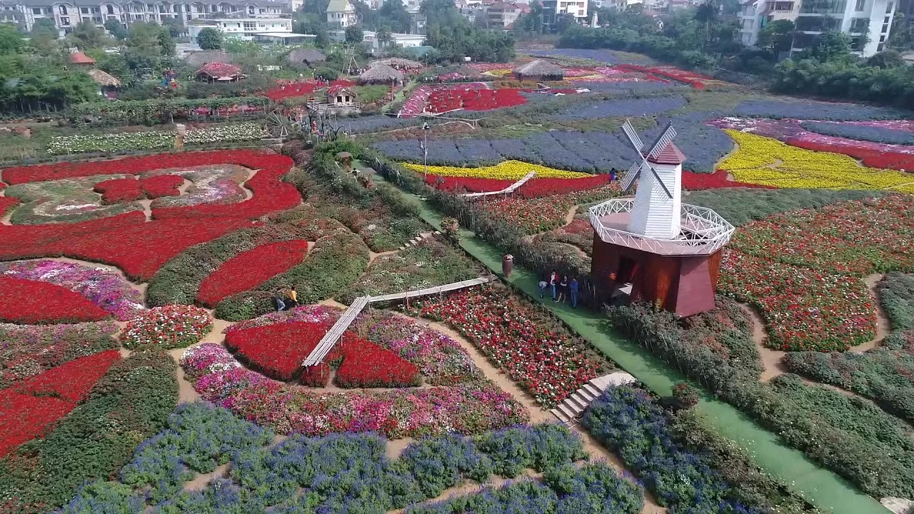 Thung lũng hoa hồ Tây, một điểm đến ưa thích của khách du lịch.