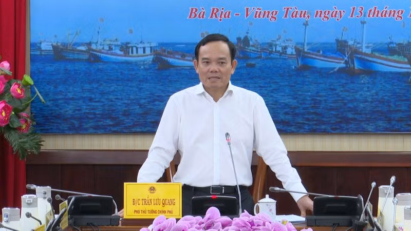 Phó Thủ tướng Trần Lưu Quang phát biểu tại cuộc họp.