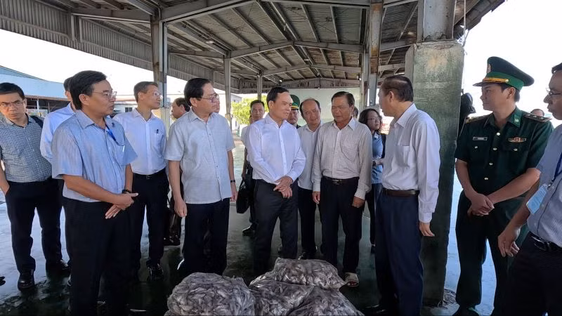 Phó Thủ tướng Trần Lưu Quang và Bí thư Tỉnh ủy Phạm Viết Thanh kiểm tra IUU tại cảng cá Cát Lở, thành phố Vũng Tàu.