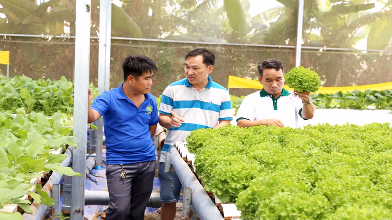 Mô hình sản xuất nông nghiệp công nghệ cao ngày càng lan tỏa đối với thanh niên khởi nghiệp tại Ninh Thuận. Mô hình sản xuất nông nghiệp công nghệ cao ngày càng lan tỏa đối với thanh niên khởi nghiệp tại Ninh Thuận.