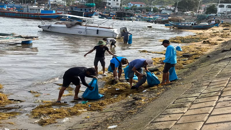 Nhóm "Vĩnh Hy xanh-sạch-đẹp” thu gom rác thải dưới kè vịnh Vĩnh Hy. Nhóm "Vĩnh Hy xanh-sạch-đẹp” thu gom rác thải dưới kè vịnh Vĩnh Hy.