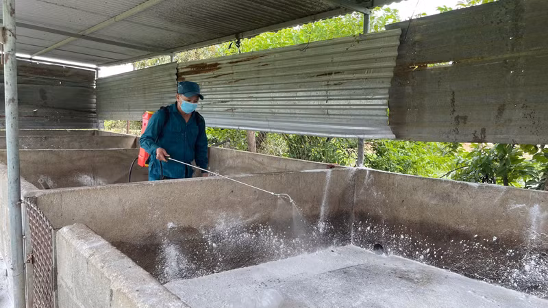 Cán bộ thú y xã Nhơn Sơn, huyện Ninh Sơn tổ chức tiêu độc khử trùng các chuồng có nuôi lợn bị dịch tả lợn châu Phi gây hại trong những ngày vừa qua. (Ảnh: NGUYỄN TRUNG)