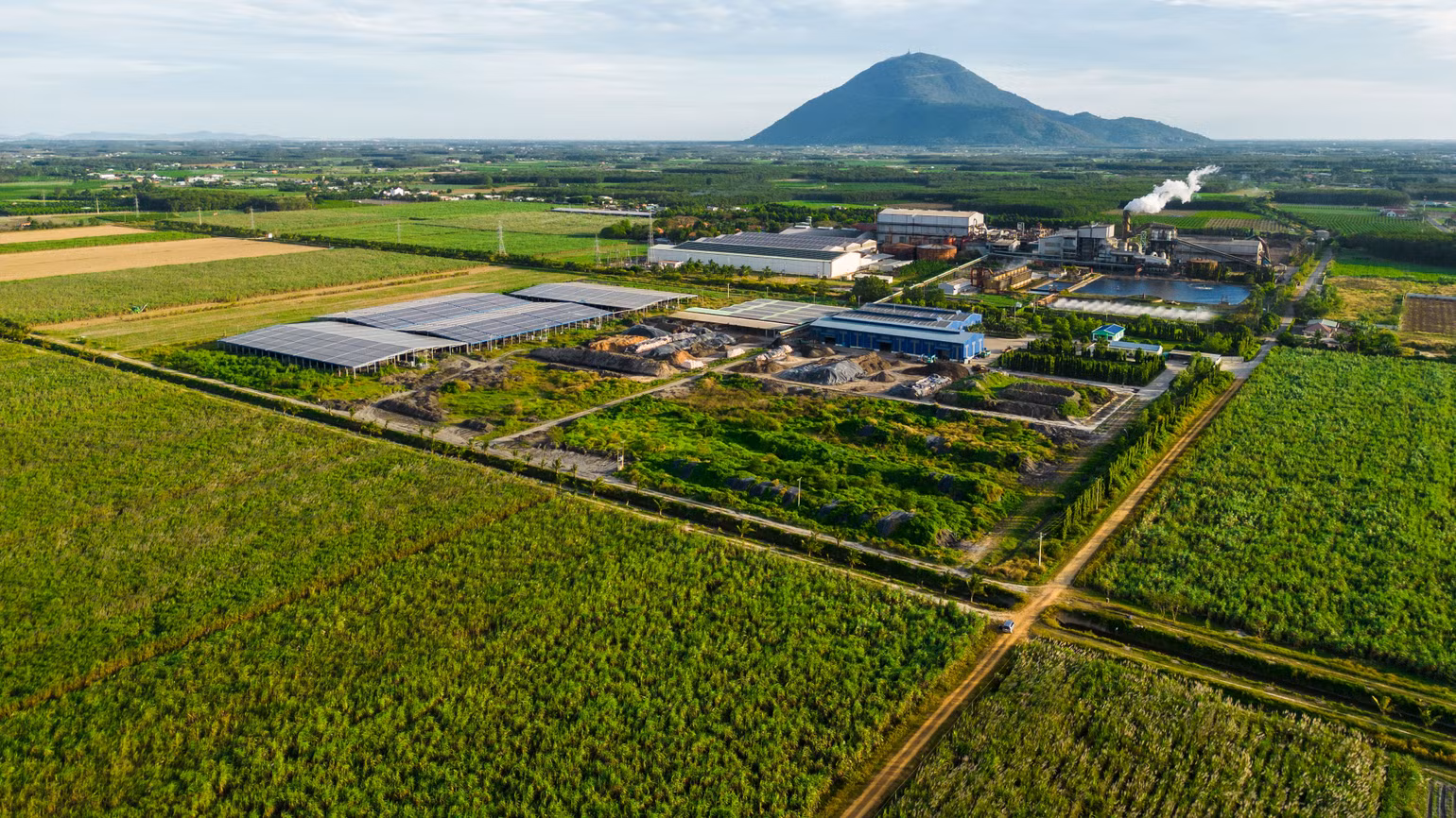 Giải chạy với hình thức “Cross country - Chạy băng đồng” qua các vùng nguyên liệu xanh mát của TTC AgriS và tỉnh Tây Ninh. Giải chạy với hình thức “Cross country - Chạy băng đồng” qua các vùng nguyên liệu xanh mát của TTC AgriS và tỉnh Tây Ninh.