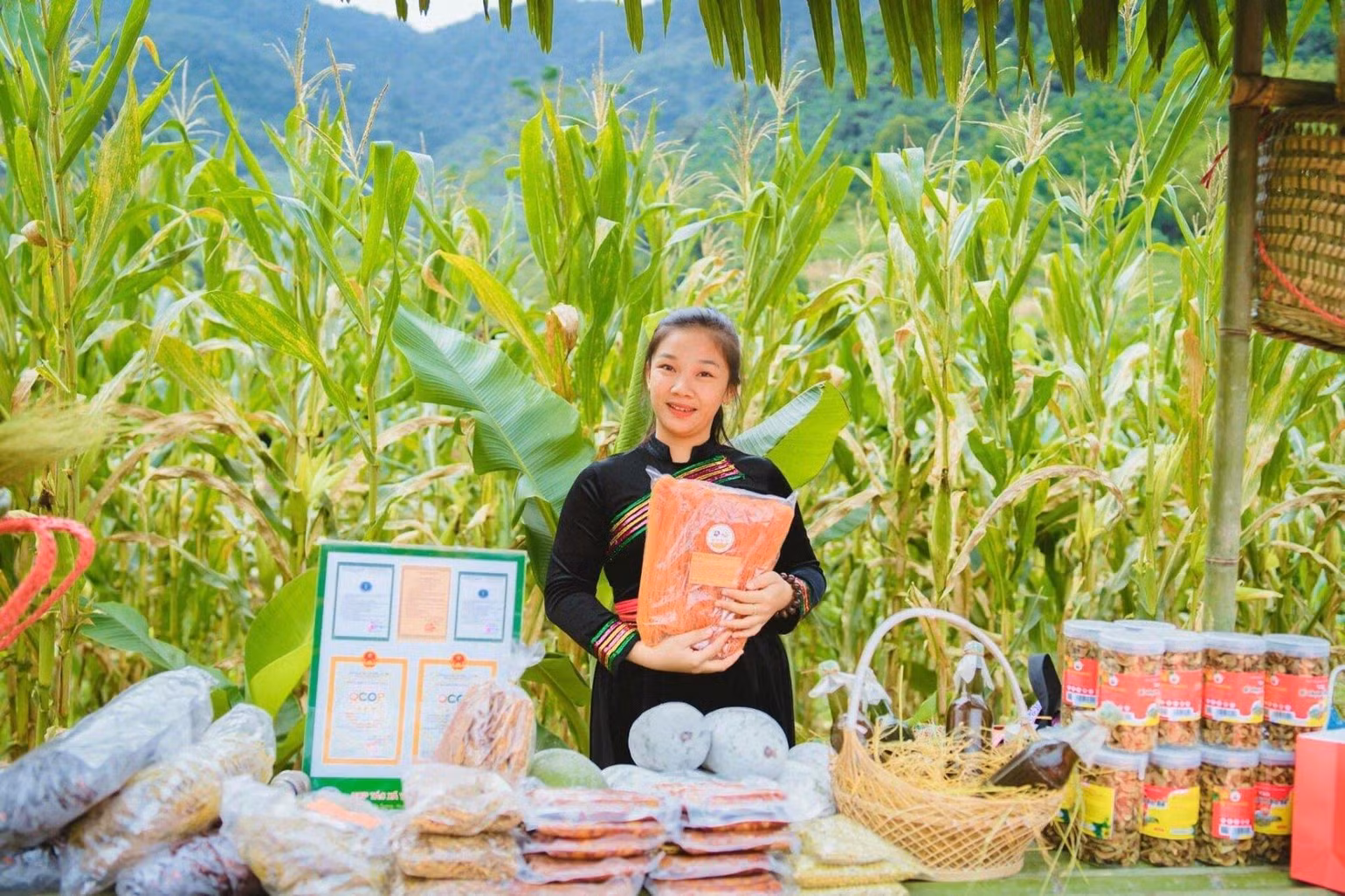 21 tuổi, Tố Mười chọn về với những núi đá cao, những cung đường dốc của Pác Nặm để tìm hướng đi khác cho nghề làm bún khô của gia đình. 21 tuổi, Tố Mười chọn về với những núi đá cao, những cung đường dốc của Pác Nặm để tìm hướng đi khác cho nghề làm bún khô của gia đình.