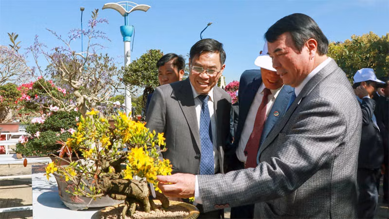 Các đại biểu tham quan khu vực trưng bày và tổ chức thi bonsai, bonsai hoa trái.