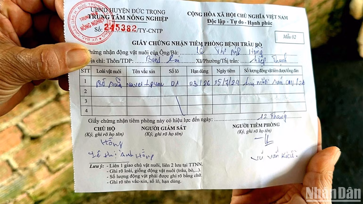 Giấy chứng nhận tiêm phòng bệnh sau khi bò sữa được tiêm vaccine. Giấy chứng nhận tiêm phòng bệnh sau khi bò sữa được tiêm vaccine.