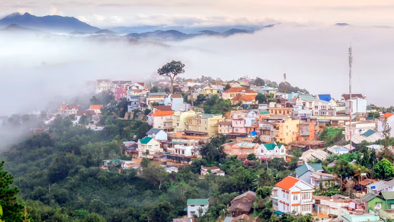 Ven đô Đà Lạt. (Ảnh minh họa) Ven đô Đà Lạt. (Ảnh minh họa)